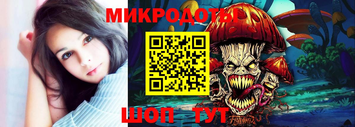 Псилоцибиновые грибы Cubensis Сосновоборск