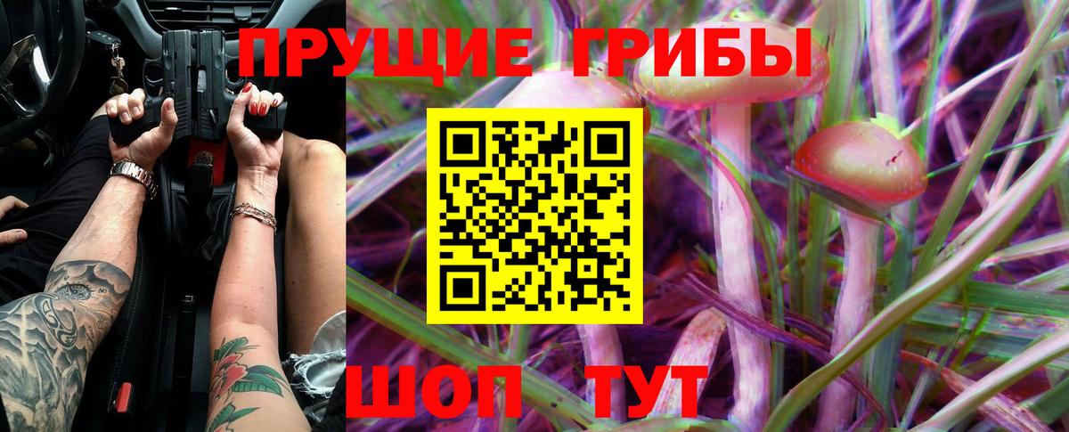 Псилоцибиновые грибы MAGIC MUSHROOMS  Вход с VPN  Сосновоборск 